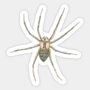 Spider Sticker